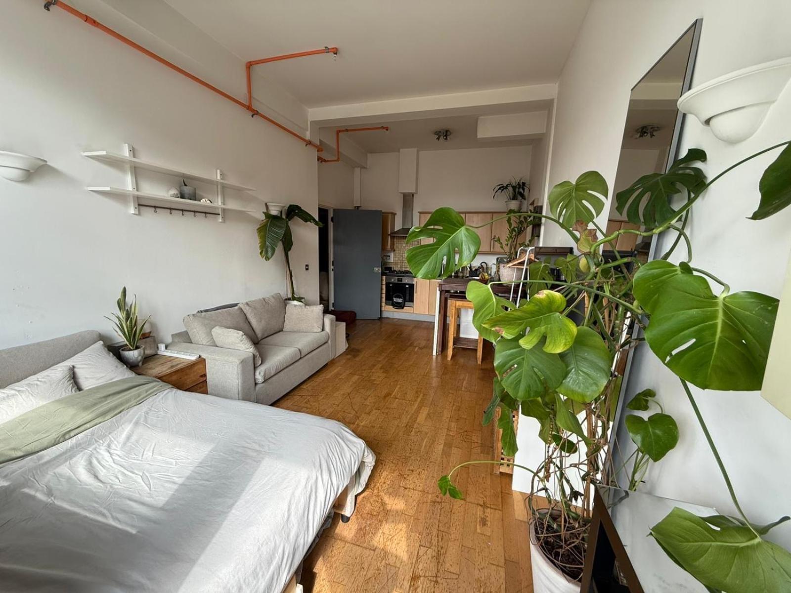 Cosy Private With Shared Bathroom Facilities Casa de hóspedes Londres